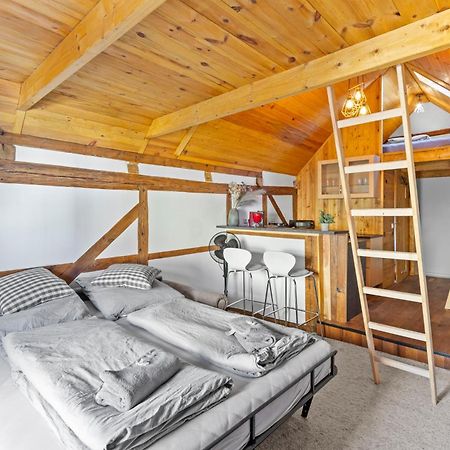 Sabina Mounteurwohnung Dachboden I 55 Zoll Tv I Schlafcouch Mit 20Cm Matraze 2 Weitere Schlafplaetze I Kueche I Bad Trebbin Exterior photo
